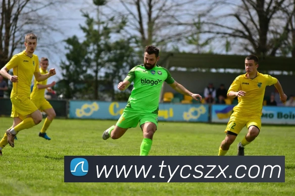 太阳城网站平台生态图